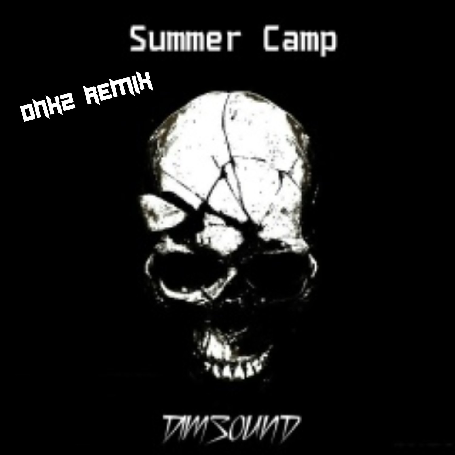 Summer Camp (Remix) (feat. DIMSOUND)